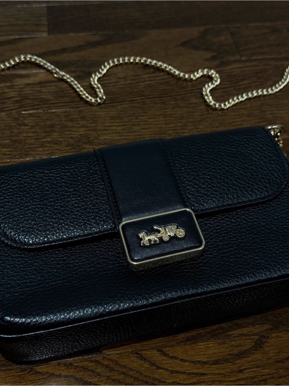 Black Leather Chain Crossbody Bag with Gold Accent